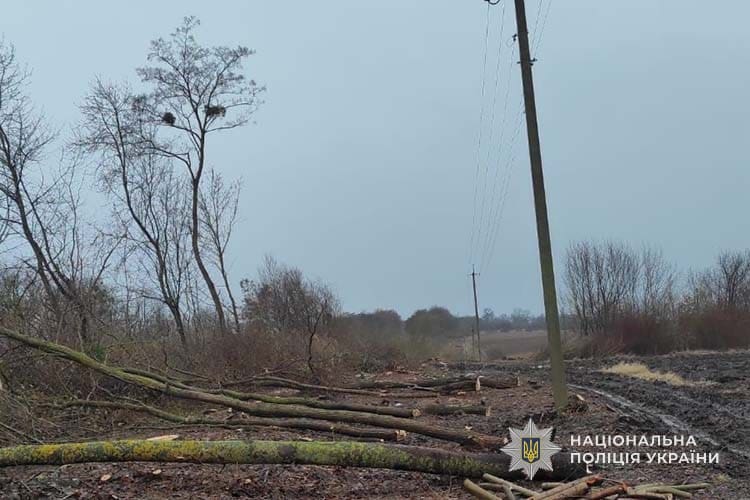 оголосили підозру