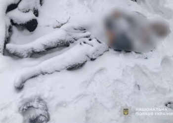 На Тернопільщині на узбіччі дороги знайшли мертвого чоловіка