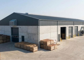 будівництво овоче- та фруктосховищ