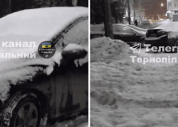 нестандартно «провчити» водія