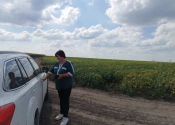 на одному із роздоріж