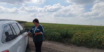 на одному із роздоріж