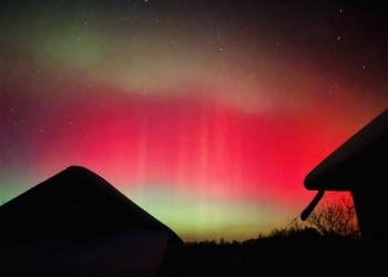 Північне сайво