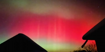 Північне сайво