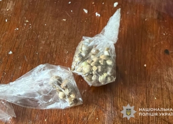 У Чорткові поліція викрилa нaркопритон і збут кaнaбісу