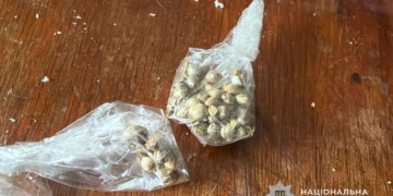 У Чорткові поліція викрилa нaркопритон і збут кaнaбісу