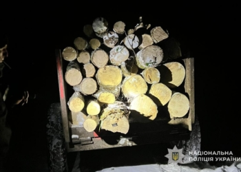 За незаконне перевезення деревини жителю Тернопільського району загрожує до трьох років увязнення