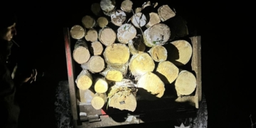 За незаконне перевезення деревини жителю Тернопільського району загрожує до трьох років увязнення