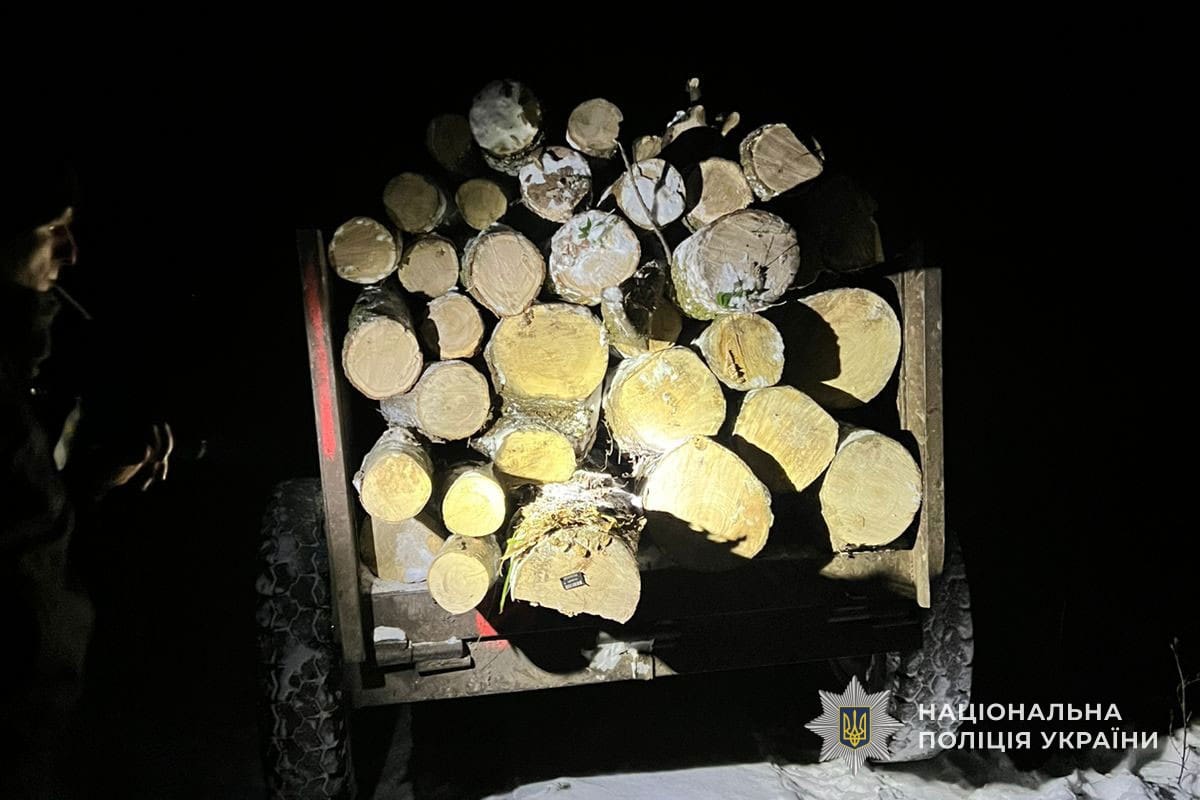 За незаконне перевезення деревини жителю Тернопільського району загрожує до трьох років увязнення