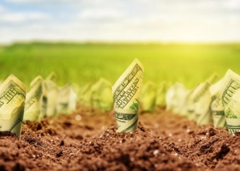 Тернопільська земля за вартістю ввійшла до трійки лідерів в Україні