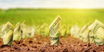 Тернопільська земля за вартістю ввійшла до трійки лідерів в Україні