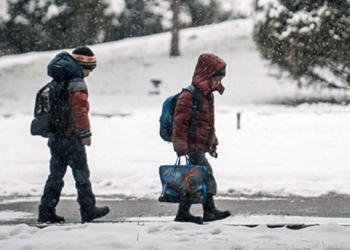 зупиняють навчання