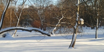 Ожеледиця і мороз: якою буде погода на Тернопільщині 3 та 4 січня