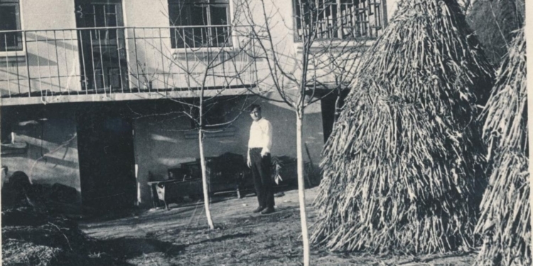 «Моя генетика – звідси»: режисер Тарас Томенко розповів про тернопільське коріння та дружбу діда з Франком