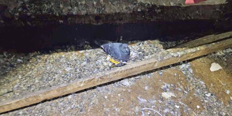 Чортківський водоканал допоміг відновити опалення в багатоповерхівках столиці