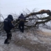 Негода на Тернопільщині: під Підгайцями обледеніле дерево заблокувало трасу