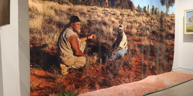 У Тернополі презентували мистецький проєкт «Австралійське літо посеред української зими»