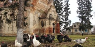 костел великий ходачків