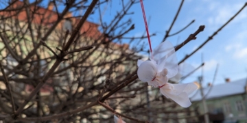 тиха акція «Ангели пам’яті»