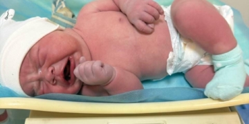 понад п’ять кілограмів