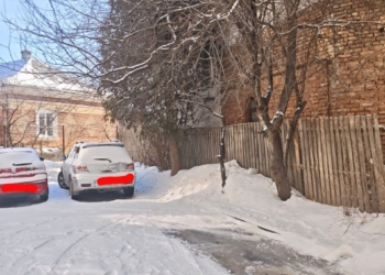 аварійні дерева