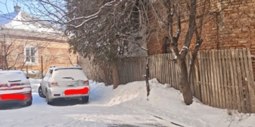 аварійні дерева