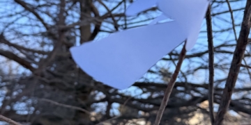 Ангели памʼяті