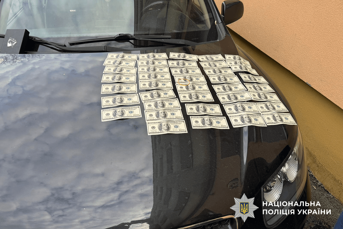 перед судом