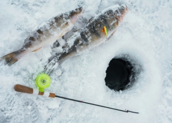 перевірки на водоймах