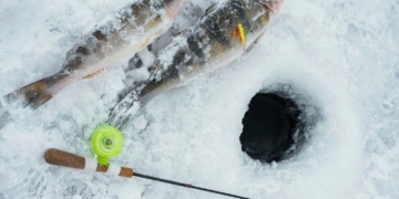 перевірки на водоймах
