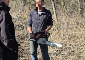 незаконне будівництво та нищення зелених насаджень