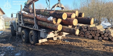 розкрадання лісових ресурсів