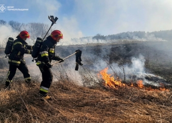 Гористь трава