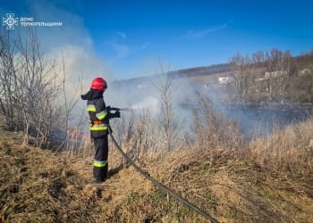 Горить сухостій