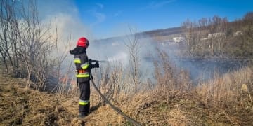 Горить сухостій