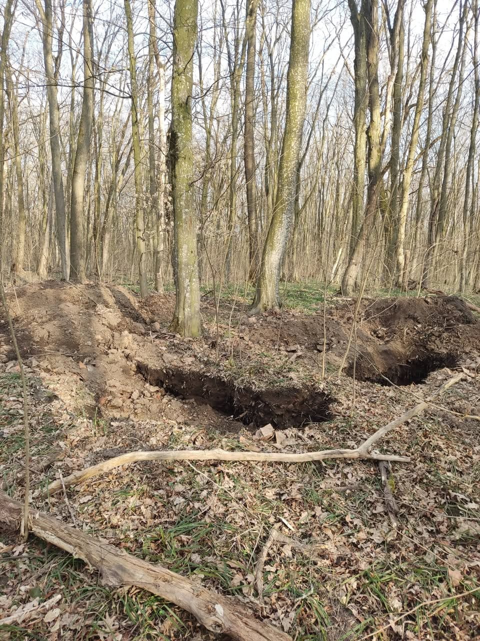 У Троянівському лісі на Гусятинщині відкопали пшеницю, якій 5 тисяч років