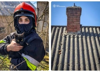 рятувальники провели успішну операцію порятунку чотирилапого