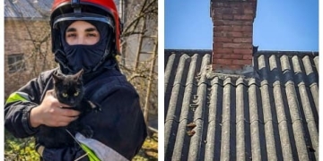 рятувальники провели успішну операцію порятунку чотирилапого