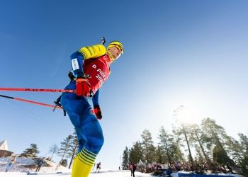 Дмитро Підручний