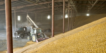 Очищення та дезінфекція складського приміщення