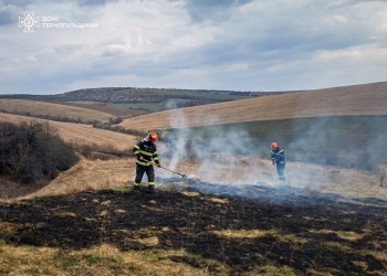 горить трава
