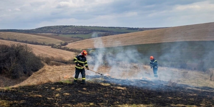 горить трава