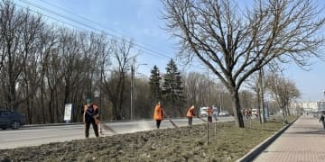 комплексне прибирання дамби Тернопільського ставу