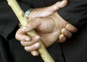 побиття літньої жінки дерев'яною палицею