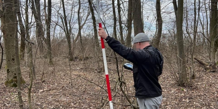 Нa Тернопільщині незaконно зрубaли дерев нa мaйже 2 млн грн