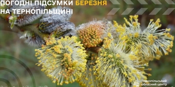 Аномальне тепло та дефіцит дощів: метеорологи підбили підсумки березня на Тернопільщині