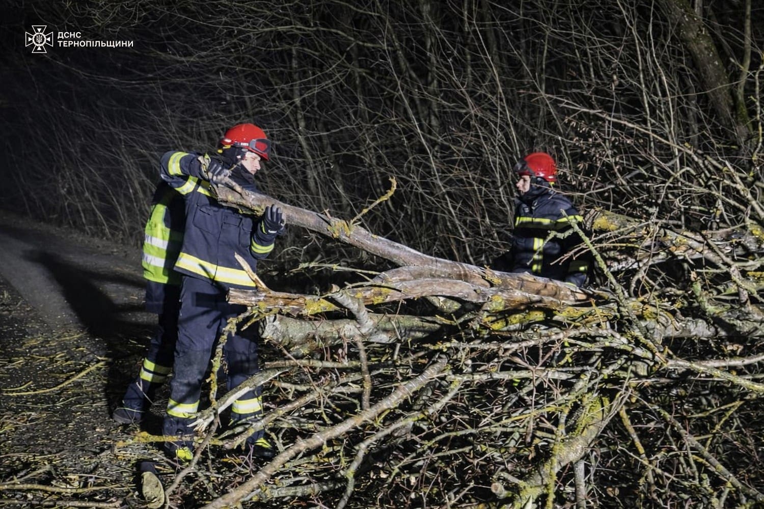 На Тернопільщині вогонь знищив два авто та тварин