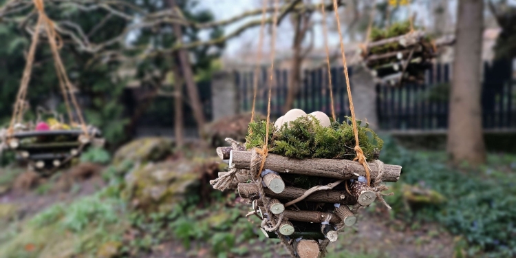 Великоднє диво у Кременці: до свята прикрасили реліктове дерево ботанічного саду