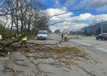 ліквідували наслідки сильного вітру