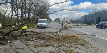 ліквідували наслідки сильного вітру